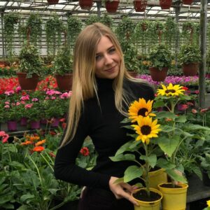 Питомник в островцах клубника. alexandra3. Питомник в островцах клубника фото. Питомник в островцах клубника-alexandra3. картинка Питомник в островцах клубника. картинка alexandra3. Питомники и садовые центры Раменского, где можно купить саженцы клубники и земляники в 2021 году.